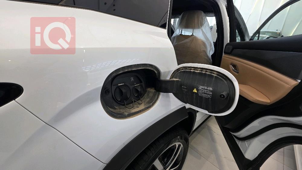 بي واي دي سونغ L DM-i